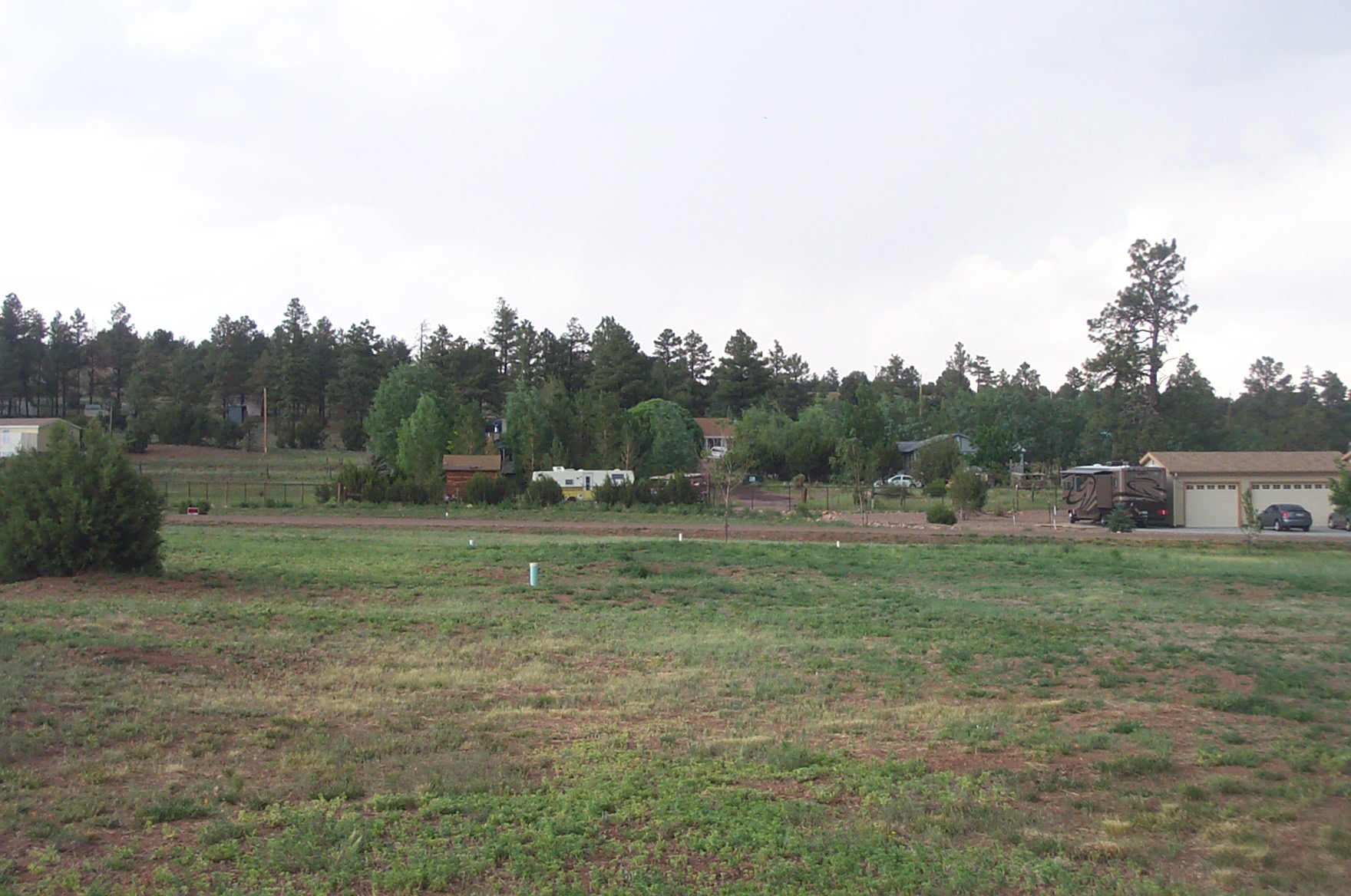 7038dustysaddle
